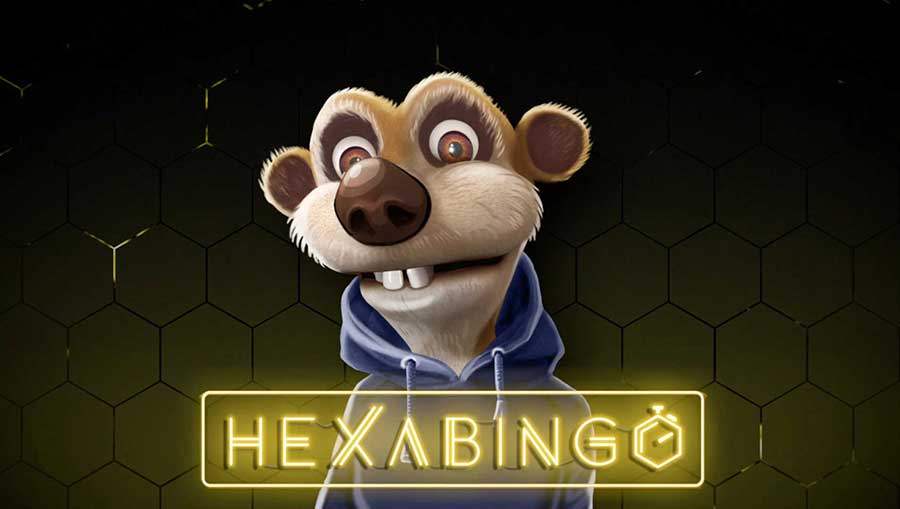HexaBingo avatar