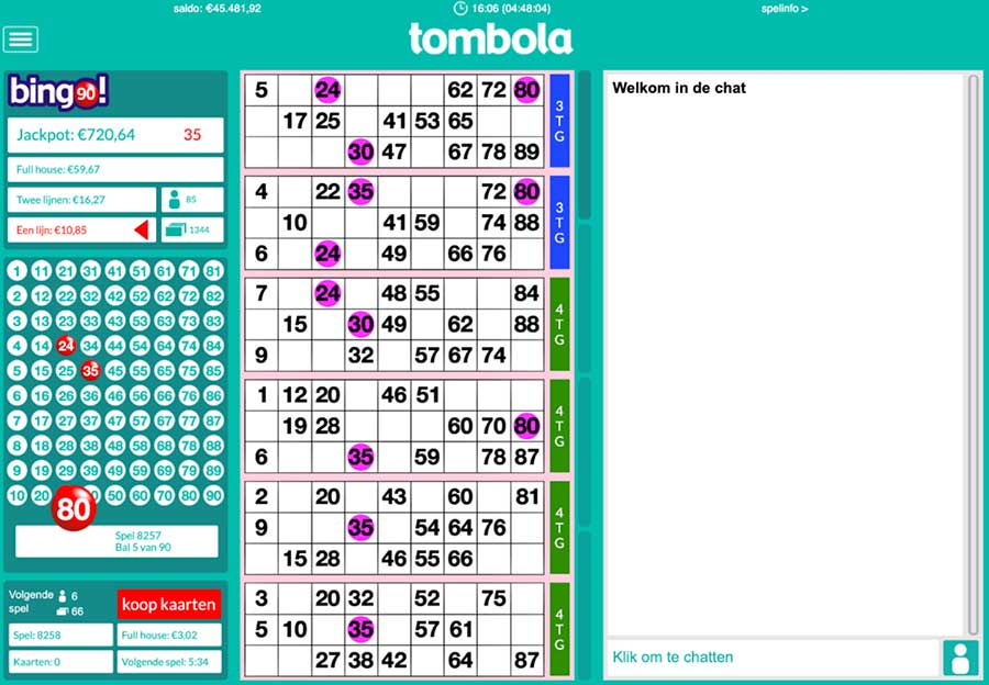 Tombola bingo screenshot